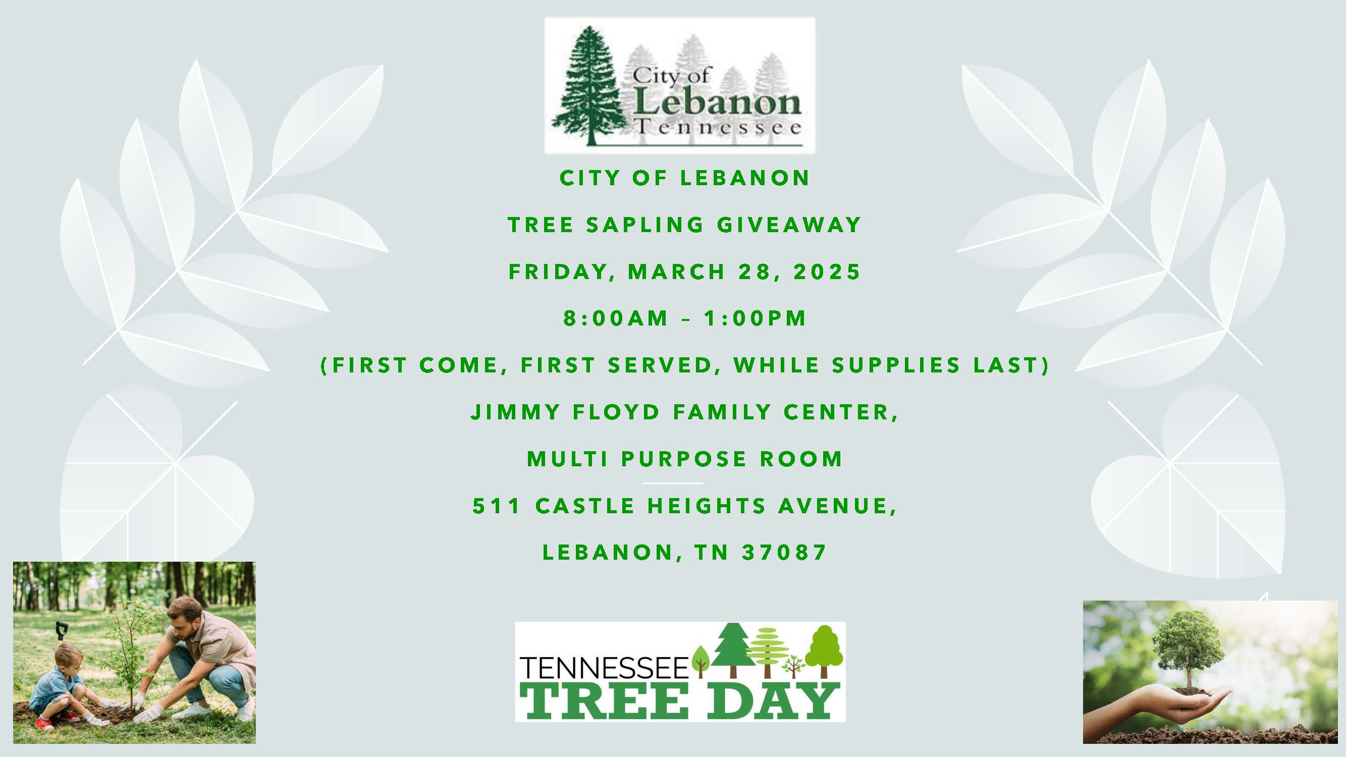 City Tree Sapling Givaway